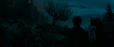 You see Sirius talking to me there? - Harry Potter and the Prisoner of Azkaban