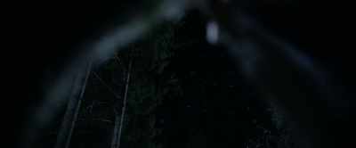 You see that, Miika?
It means you have to make a wish. - A Boy Called Christmas