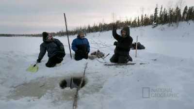 You see, the beaver's
head is about this big only, - Life Below Zero: First Alaskans