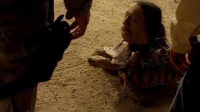 You see the one
where his head is on a turtle? - Inmate #1: The Rise of Danny Trejo