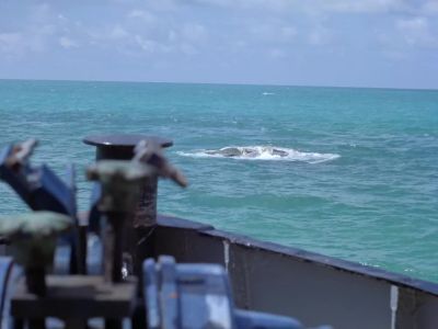You see the size of that thing - The Bermuda Depths