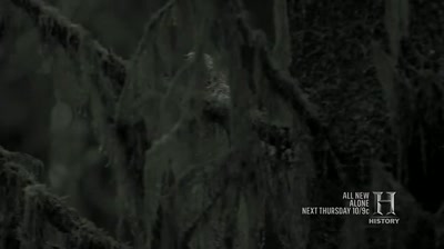 You see things here that you
wouldn't see anywhere else. - Alone