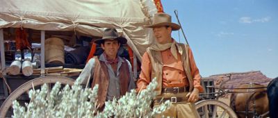 You see those dark markings - The Comancheros
