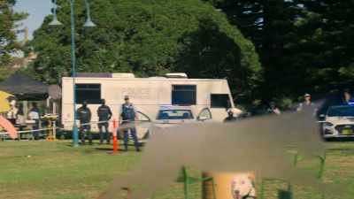 You see those guys out there?
You see them? - NCIS: Sydney