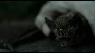 You seek knowledge of the netherworld? - Sleepy Hollow