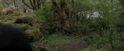 You seem a bit nervous, tracker. - Alone