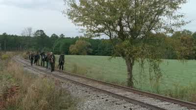 You seen this before? - The Walking Dead
