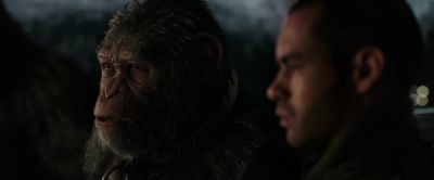You severed their heads sir - War for the Planet of the Apes