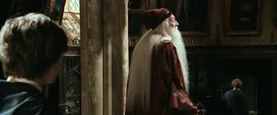 You shall not harm Harry Potter - Harry Potter and the Chamber of Secrets
