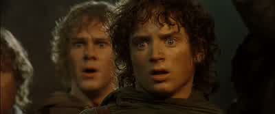 You shall not pass - The Lord of the Rings: The Fellowship of the Ring