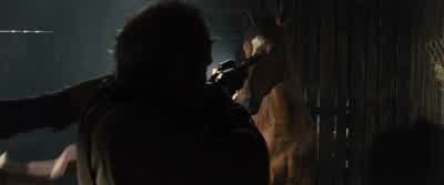 You shoot that horse we have nothing. - War Horse