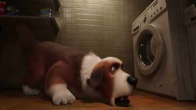 You should learn to roll with the punches, - The Queen's Corgi