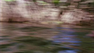 You should stick
to hunting things
that don't fight back. - Burn Notice
