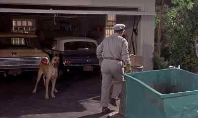 YOU SHOULDN'T EAT THIS STUFF.
IT AIN'T GOOD FOR YA. - The Ugly Dachshund