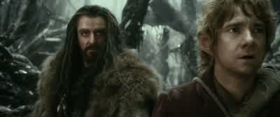 You shouldn't have done that. - The Hobbit: The Desolation of Smaug