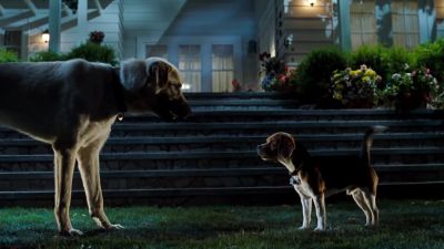 You should've fought for me What good would it do - Cats &amp; Dogs