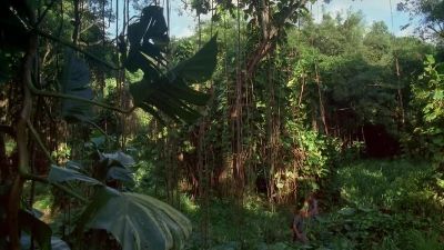 You should've put some shoes on. - Lost