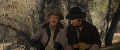 You show me a young cowboy - Wild Rovers