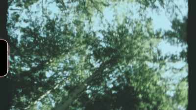 You sit in the middle of that field, - Pamela, A Love Story