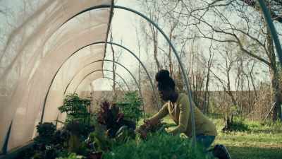* You spend
your days... * - Queen Sugar