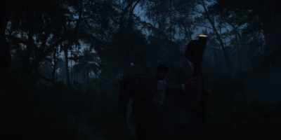 You stay so close to the forest. - Bulbbul