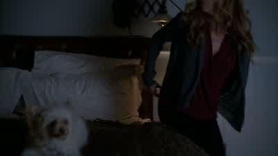 You stay. - American Horror Story