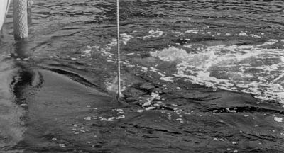 You still don't look like an ichthyologist - Creature from the Black Lagoon
