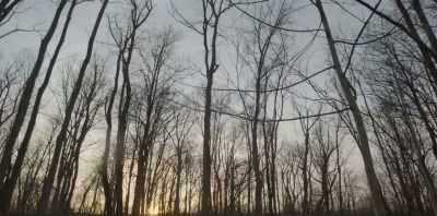 You were still there
and identifying - Chasing the Present