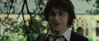You stinking, cowardly, scummy... - Harry Potter and the Goblet of Fire