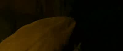 You, stop! - The Carpenter's Son