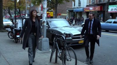 You sure about this? - Blue Bloods