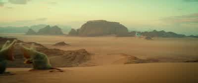You sure this is it? - Star Wars: The Rise of Skywalker