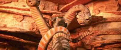 You take the front half, - Gracie & Pedro: Pets to the Rescue
