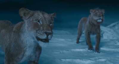 You, the lion
who can do anything. - Mufasa: The Lion King
