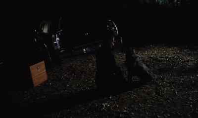 You and the others cannot fail, zoltan. - Dracula's Dog
