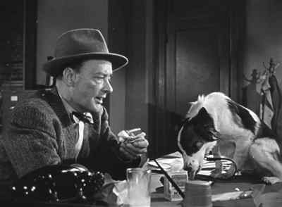 You were there when it happened.
Why can't you talk? - Woman on the Run