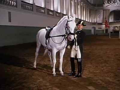 You there! - Miracle of the White Stallions