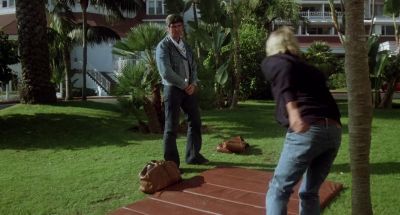 You think you can jump from there to there - The Stunt Man