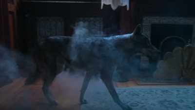 You think you can stop me? - Phantom Pups