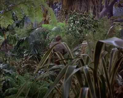 You think Dan got
Valerie's message? - Land of the Giants