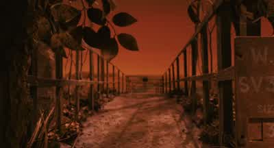 You think he'll tell on us? - Fantastic Mr  Fox