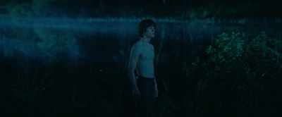 You think, if I shout from here, - The Animal Kingdom