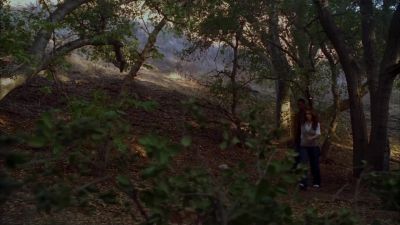 You think someone in her family killed her? - Ghost Whisperer