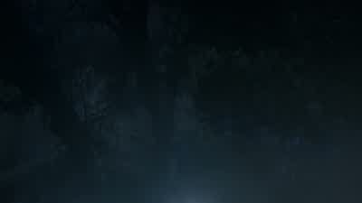 You think it's a, a wolf-wolf or... - Teen Wolf