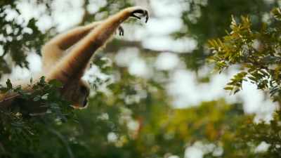 You think you know nature? - Super/Natural