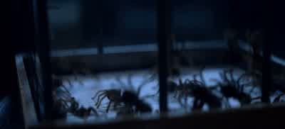You think those spiders can save you? - Chilling Adventures of Sabrina