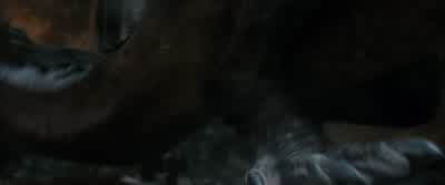 You think you......can deceive me, Barrel-rider? - The Hobbit: The Desolation of Smaug