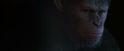 You think you will find him... - War for the Planet of the Apes