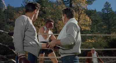 You think you're cute. - Kid Galahad