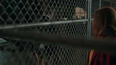 You told Emilio that he needed
to "understand the implications" - Aurora Teagarden Mysteries: Death at the Diner